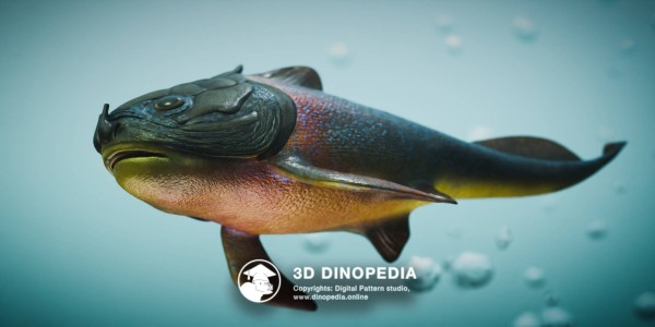 Devonian period Materpiscis 3D Dinopedia