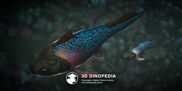 Devonian period Materpiscis 3D Dinopedia