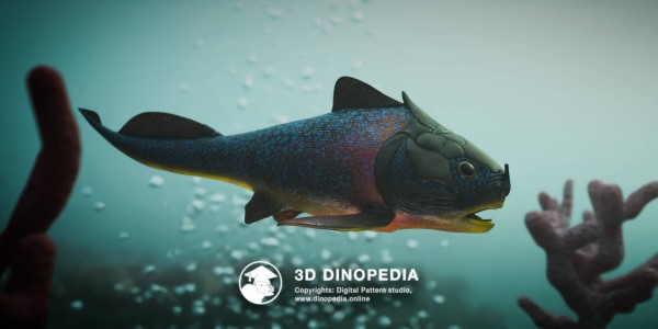 Devonian period Materpiscis 3D Dinopedia