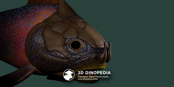 Devonian period Materpiscis 3D Dinopedia