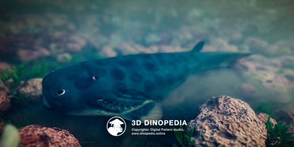 Silurian period Thelodus 3D Dinopedia