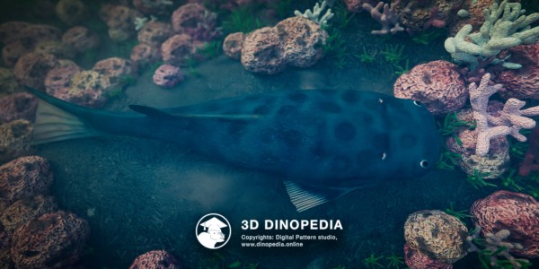Silurian period Thelodus 3D Dinopedia