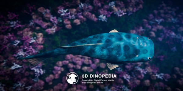 Silurian period Thelodus 3D Dinopedia