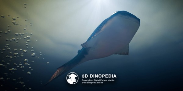 Silurian period Thelodus 3D Dinopedia
