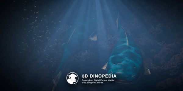 Silurian period Thelodus 3D Dinopedia