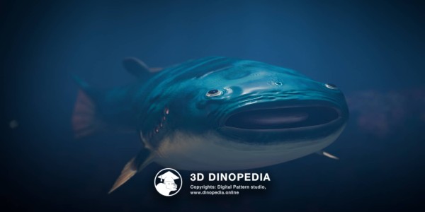 Silurian period Thelodus 3D Dinopedia