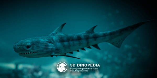 Devonian period Climatius 3D Dinopedia