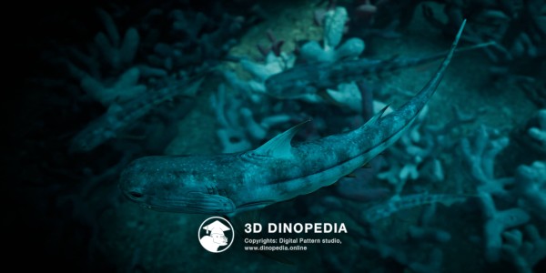 Devonian period Climatius 3D Dinopedia