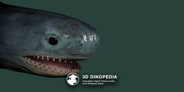 Devonian period Climatius 3D Dinopedia
