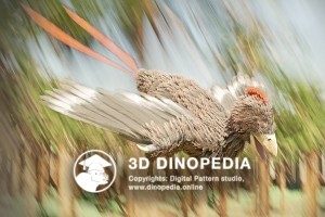 Cretaceous period Confuciusornis 3D Dinopedia