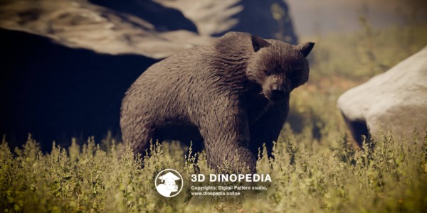 Quaternary period Arctodus 3D Dinopedia