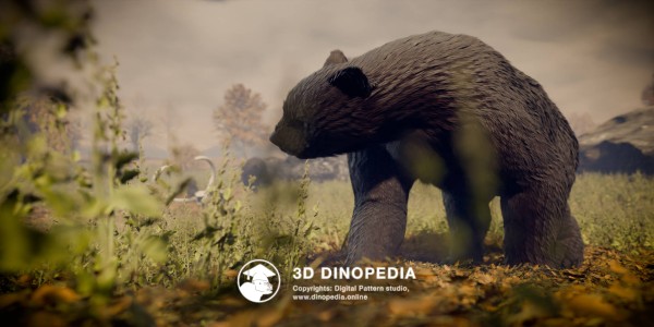 Quaternary period Arctodus 3D Dinopedia