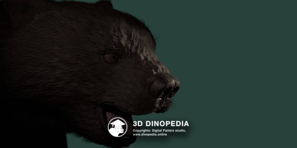 Quaternary period Arctodus 3D Dinopedia