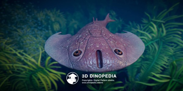 Silurian period Tujiaaspis 3D Dinopedia
