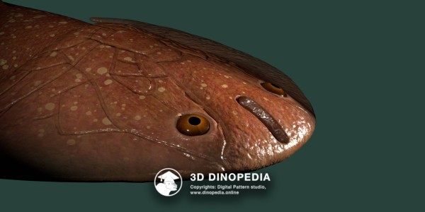 Silurian period Tujiaaspis 3D Dinopedia