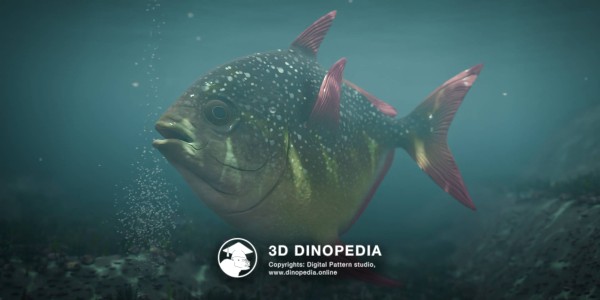 Палеогеновый период Мегаламприс 3D Dinopedia