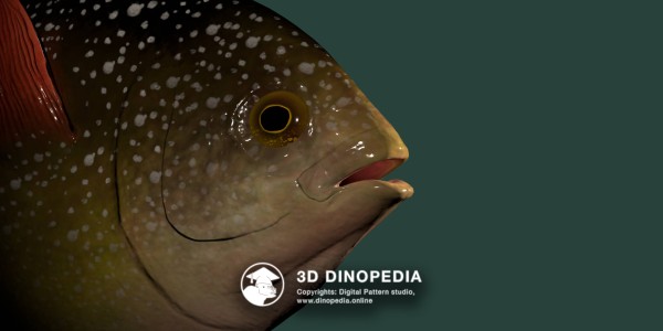 Палеогеновый период Мегаламприс 3D Dinopedia
