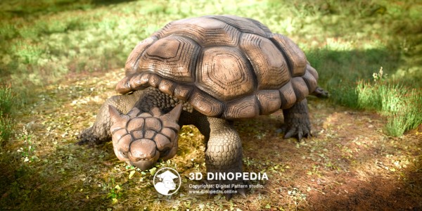 Neogene period Meiolania 3D Dinopedia