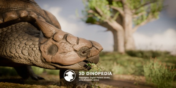 Neogene period Meiolania 3D Dinopedia