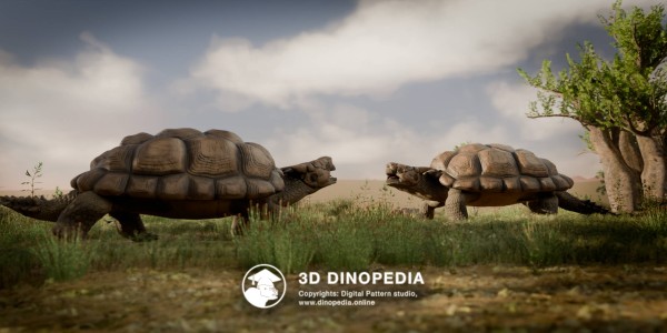 Neogene period Meiolania 3D Dinopedia