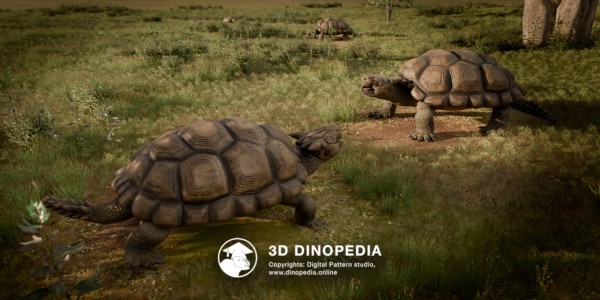 Neogene period Meiolania 3D Dinopedia