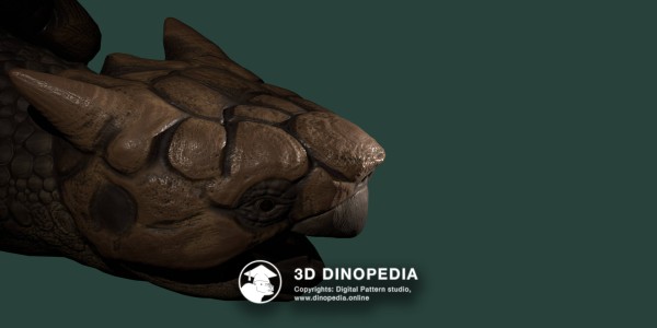 Neogene period Meiolania 3D Dinopedia