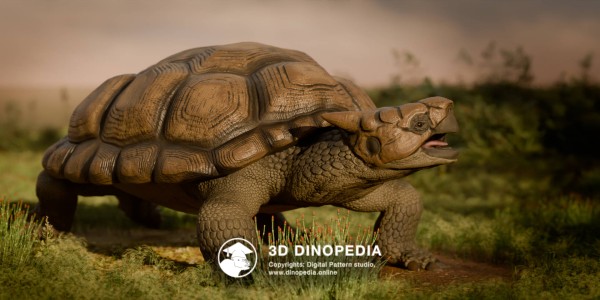 Neogene period Meiolania 3D Dinopedia