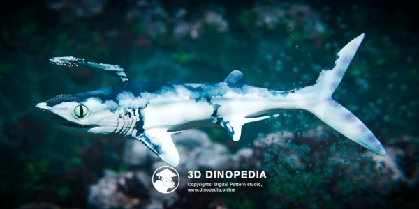 Каменноугольный период Фалькат 3D Dinopedia