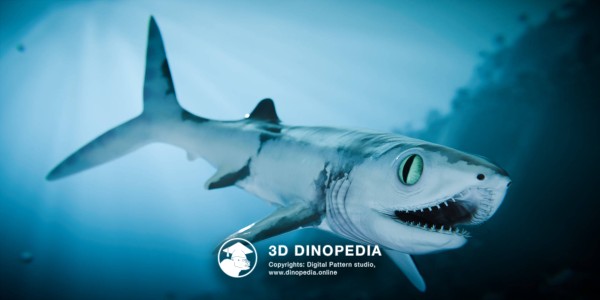 Каменноугольный период Фалькат 3D Dinopedia