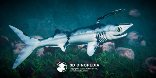 Каменноугольный период Фалькат 3D Dinopedia