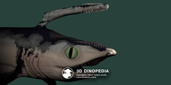 Каменноугольный период Фалькат 3D Dinopedia