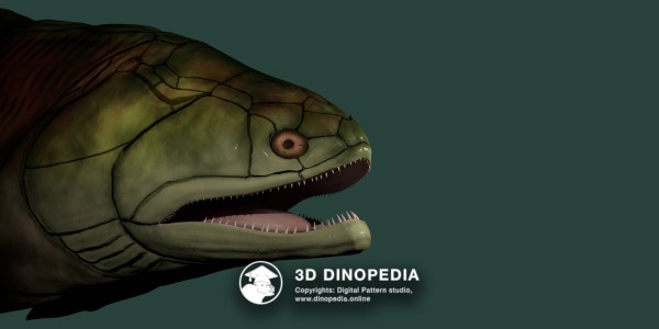 Silurian period Guiyu 3D Dinopedia