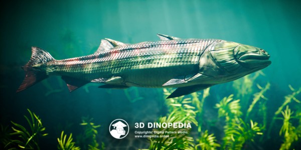 Silurian period Guiyu 3D Dinopedia