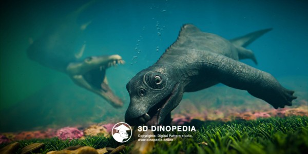 Triassic period Placodus 3D Dinopedia