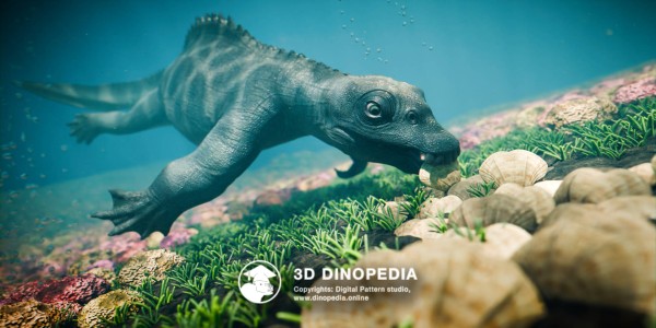 Triassic period Placodus 3D Dinopedia