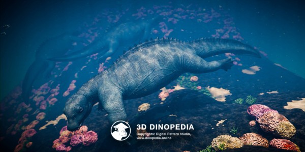 Triassic period Placodus 3D Dinopedia