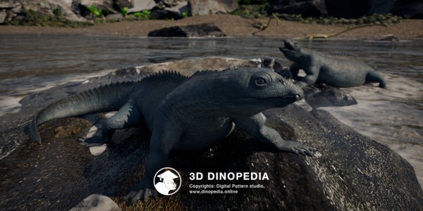 Triassic period Placodus 3D Dinopedia