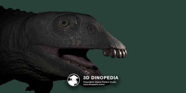 Triassic period Placodus 3D Dinopedia