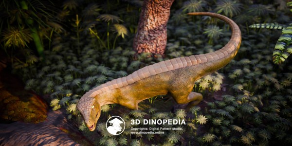 Triassic period Hesperosuchus 3D Dinopedia