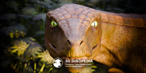 Triassic period Hesperosuchus 3D Dinopedia