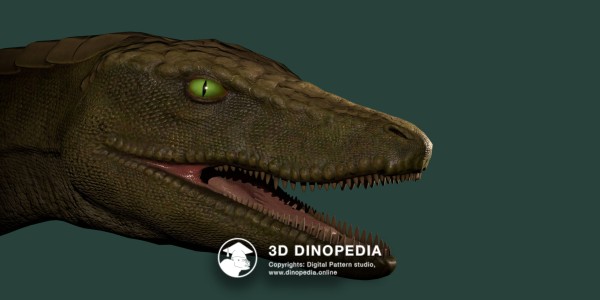 Triassic period Hesperosuchus 3D Dinopedia