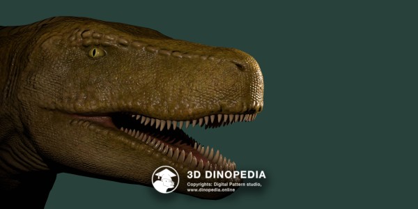 Triassic period Saurosuchus 3D Dinopedia