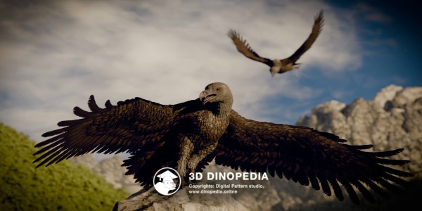 Неогеновый период Аргентавис 3D Dinopedia