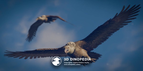 Неогеновый период Аргентавис 3D Dinopedia