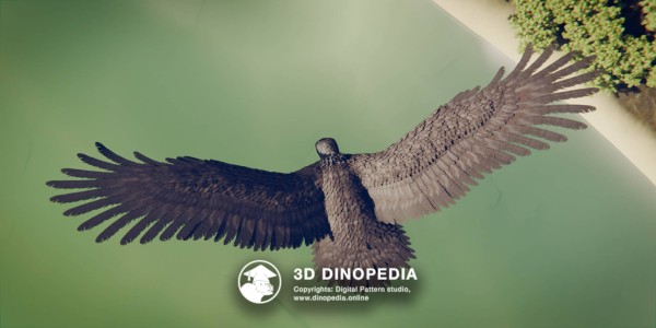 Неогеновый период Аргентавис 3D Dinopedia