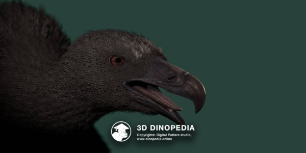 Неогеновый период Аргентавис 3D Dinopedia