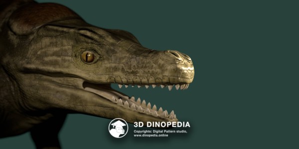 Cretaceous period Armadillosuchus 3D Dinopedia
