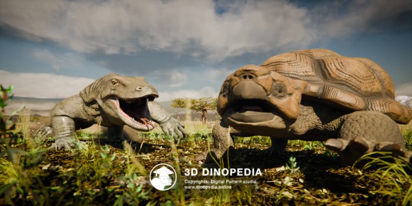 Quaternary period Megalania 3D Dinopedia