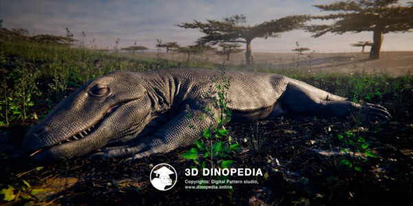 Quaternary period Megalania 3D Dinopedia