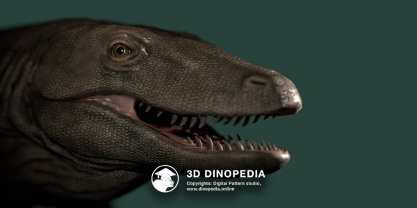 Quaternary period Megalania 3D Dinopedia